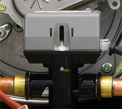 bx pt promax 24 store erp e85752 dv head ch pos.jpg